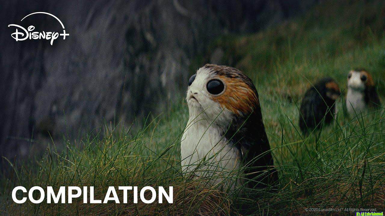 Creatures Of Star Wars | Official Compilation