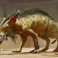 The Book of Boba Fett / Gallery