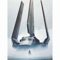 Star Wars Celebration Japan 2025 Art Show - Reveal